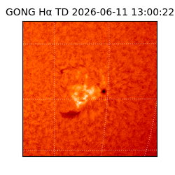 gong - 2026-06-11T13:00:22