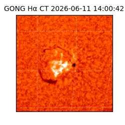 gong - 2026-06-11T14:00:42