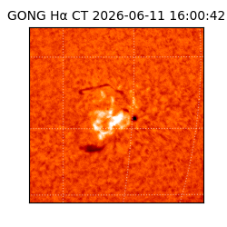 gong - 2026-06-11T16:00:42