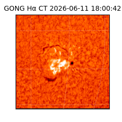 gong - 2026-06-11T18:00:42
