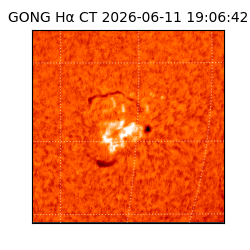 gong - 2026-06-11T19:06:42