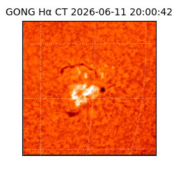 gong - 2026-06-11T20:00:42