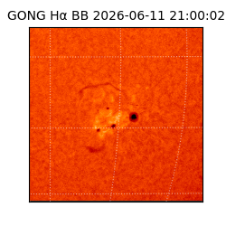 gong - 2026-06-11T21:00:02