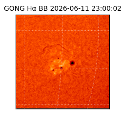 gong - 2026-06-11T23:00:02