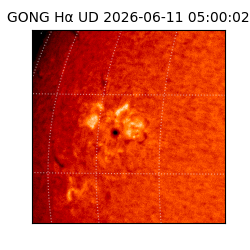 gong - 2026-06-11T05:00:02