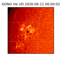 gong - 2026-06-11T06:00:02