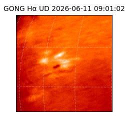 gong - 2026-06-11T09:01:02