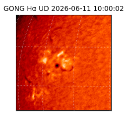gong - 2026-06-11T10:00:02