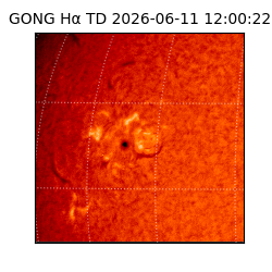 gong - 2026-06-11T12:00:22