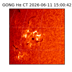 gong - 2026-06-11T15:00:42