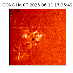 gong - 2026-06-11T17:25:42