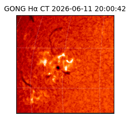 gong - 2026-06-11T20:00:42