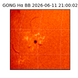 gong - 2026-06-11T21:00:02