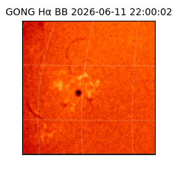 gong - 2026-06-11T22:00:02