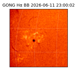 gong - 2026-06-11T23:00:02