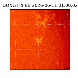 gong - 2026-06-11T01:00:02