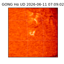 gong - 2026-06-11T07:09:02