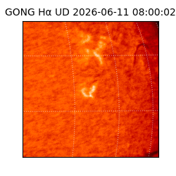 gong - 2026-06-11T08:00:02