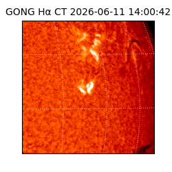 gong - 2026-06-11T14:00:42