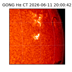 gong - 2026-06-11T20:00:42