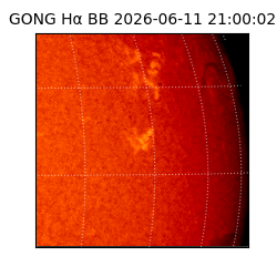gong - 2026-06-11T21:00:02