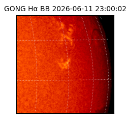 gong - 2026-06-11T23:00:02