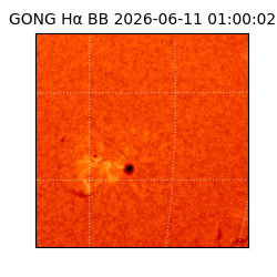 gong - 2026-06-11T01:00:02
