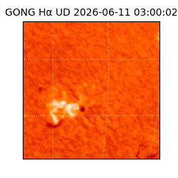 gong - 2026-06-11T03:00:02