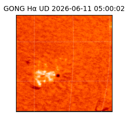 gong - 2026-06-11T05:00:02