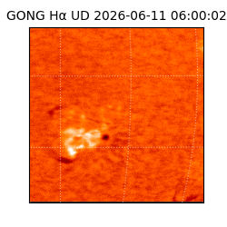 gong - 2026-06-11T06:00:02