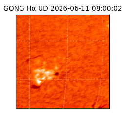 gong - 2026-06-11T08:00:02