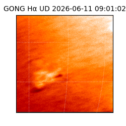 gong - 2026-06-11T09:01:02
