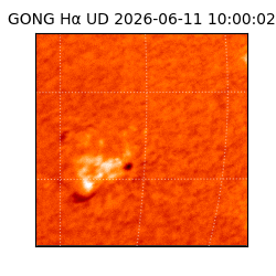gong - 2026-06-11T10:00:02