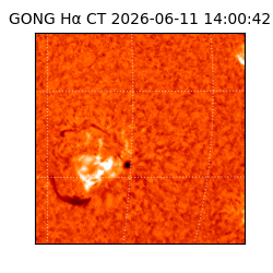 gong - 2026-06-11T14:00:42