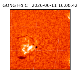 gong - 2026-06-11T16:00:42