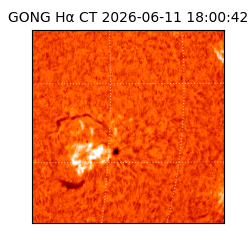 gong - 2026-06-11T18:00:42