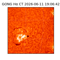 gong - 2026-06-11T19:06:42