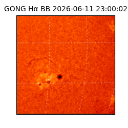 gong - 2026-06-11T23:00:02