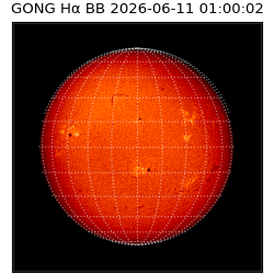 gong - 2026-06-11T01:00:02