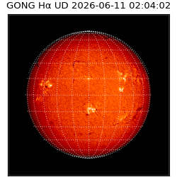 gong - 2026-06-11T02:04:02