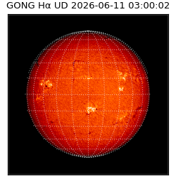 gong - 2026-06-11T03:00:02