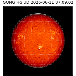 gong - 2026-06-11T07:09:02
