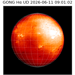 gong - 2026-06-11T09:01:02