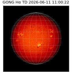 gong - 2026-06-11T11:00:22