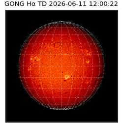 gong - 2026-06-11T12:00:22