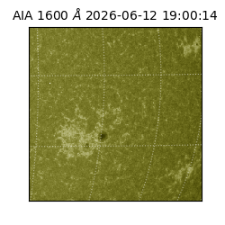 saia - 2026-06-12T19:00:14.123000