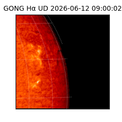 gong - 2026-06-12T09:00:02