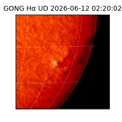 gong - 2026-06-12T02:20:02