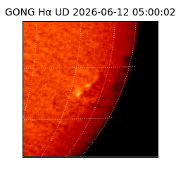 gong - 2026-06-12T05:00:02