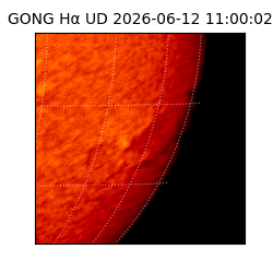 gong - 2026-06-12T11:00:02